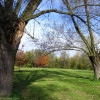 Kraków - park