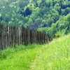 Muszyna
