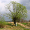 Roztocze
