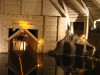 Wieliczka Salt Mine / Kopalnia Soli w Wieliczce